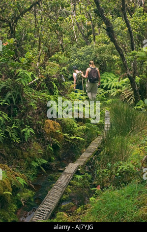 Hikers on boardwalk through rainforest at Kamakou Preserve Molokai Hawaii a Nature Conservancy preserve Stock Photo