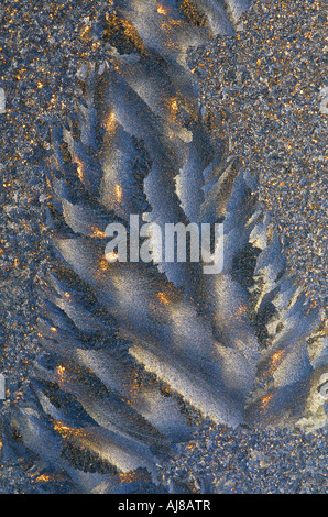 Frost on window Stock Photo