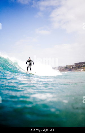 Surfing in La Jolla, California Stock Photo - Alamy