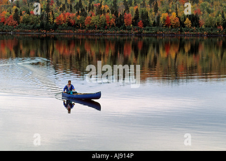 Man canoeing through fall colors. Stock Photo