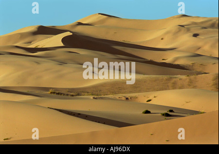 Khongoryn Els sand dune. South Gobi desert. Mongolia Stock Photo