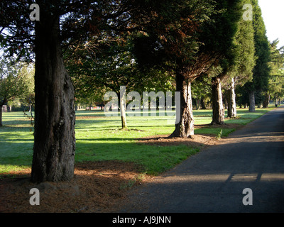 Trees in Didsbury Park Stock Photo