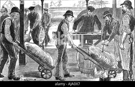 Dockers unloading sugar at West India Docks, London, 1889. Artist: Unknown Stock Photo