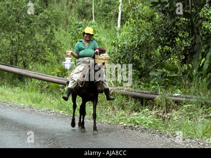 Woman delivering meal buckets by mule on an Ecuador jungle oil fields  pipeline road Stock Photo