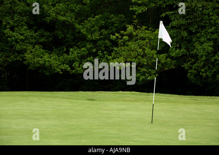 Golf Cup With Pole On Green Field Stock Photo Alamy