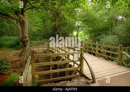 Pooh Bridge where the game Pooh Sticks originates featured in the stories of Christopher Robin and Winnie the Pooh by AA Milne. Stock Photo