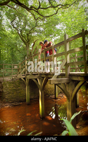 Pooh Bridge where the game Pooh Sticks originates featured in the stories of Christopher Robin and Winnie the Pooh by AA milne. Stock Photo