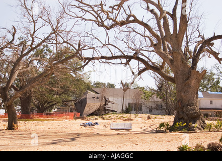 Demolished homes and stripped trees on the Gulf in Bay St. Lois, Mississippi, eight months after hurricane Katrina. Stock Photo