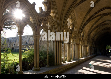 Salisbury Cathedral Cloisters - Wilshire Stock Photo