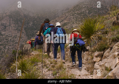 Hikers on the Permian Reef Trail in Guadalupe Mountains National Park Texas, United States. Stock Photo