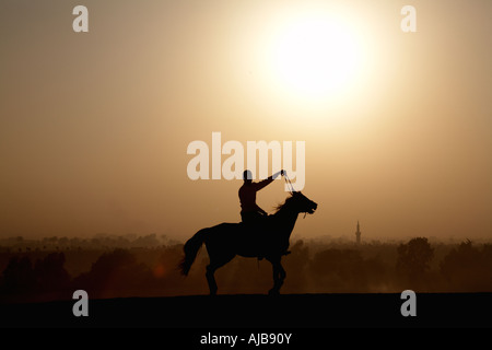 Local man in silhouette waving riding horse in stony desert in early morning hazy sunrise Giza Cairo Egypt Africa Stock Photo