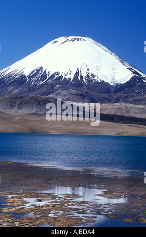 Volcan Parinacota A snowcapped backdrop Laguna Chungara Lauca National Park Atacama desert Chile Bolivian border Stock Photo