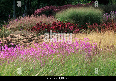 Pensthorpe Millenium Garden Aug Sept Grasses Lythrum Echinacea Sedum Designer Piet Oudolf Stock Photo