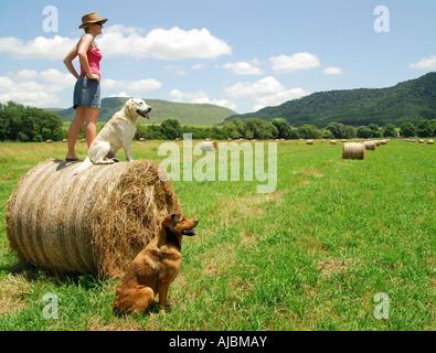 Woman on a South African farm Standing on a Round Straw Bail with Dogs Beside Her Stock Photo