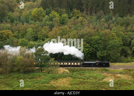 Steam train on North York Moors NYM Railway Stock Photo