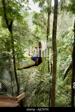 Woman on a zip line at The Gibbon Experience near Huay Xai on the Mekong river near the Laos Thai border Stock Photo
