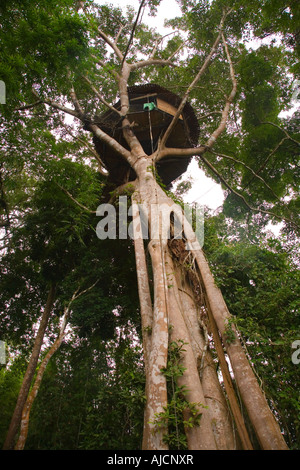 Tree house at The Gibbon Experience near Huay Xai on the Mekong river near the Laos Thai border Stock Photo