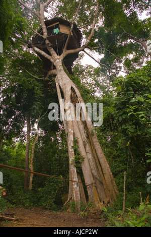 Tree house at The Gibbon Experience near Huay Xai on the Mekong river near the Laos Thai border Stock Photo