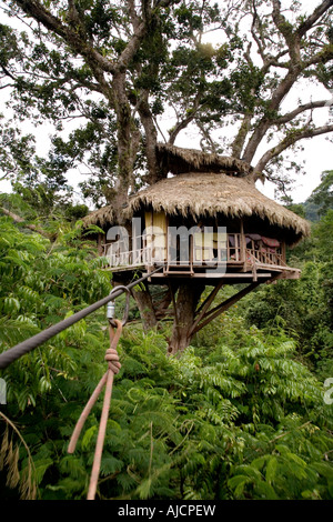 Zip lining from a tree house at The Gibbon Experience near Huay Xai on the Mekong river near the Laos Thai border Stock Photo