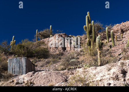 Juella, Quebrada de Humahuaca, Province of Jujuy, Argentina, South America Stock Photo