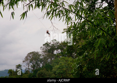 Man high above the canopy on a zip line at The Gibbon Experience near Huay Xai on the Mekong river near the Laos Thai border Stock Photo