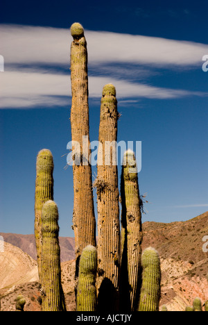 Pucara de Juella, Quebrada de Humahuaca, Province of Jujuy, Argentina, South America Stock Photo