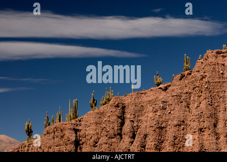 Pucara de Juella, Quebrada de Humahuaca, Province of Jujuy, Argentina, South America Stock Photo