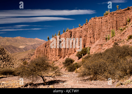 Pucara de Juella, Quebrada de Humahuaca, Province of Jujuy, Argentina, South America Stock Photo