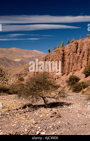 Pucara de Juella, Quebrada de Humahuaca, Province of Jujuy, Argentina, South America Stock Photo