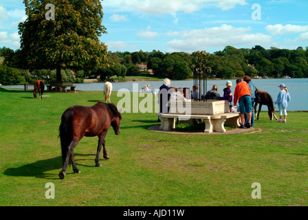 Beaulieu Hampshire England UK Stock Photo