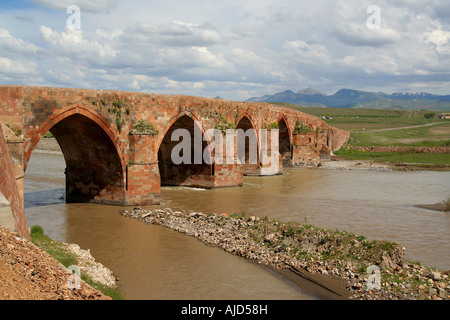Cobandede Bridge over the Aras, Turkey, East Anatolia