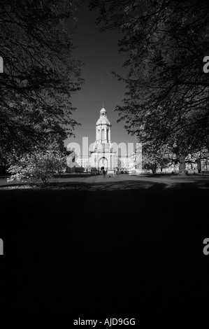 IRELAND, EIRE DUBLIN, TRINITY COLLEGE with The Campanile in the centre Stock Photo