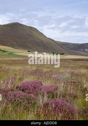 dh Rackwick HOY ORKNEY Heather cottages Clicknafea Stock Photo