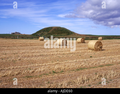 dh Neolithic burial mound MAESHOWE ORKNEY Field farm bales prehistoric chamber tomb bronze age site Stock Photo