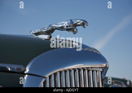 Grill and logo of vintage Jaguar car Stock Photo