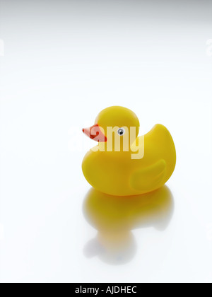 rubber duck Stock Photo
