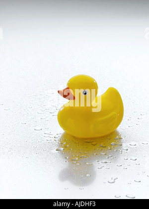 rubber duck Stock Photo