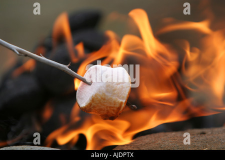 marshmallow on a stick being roasted over a camping fire Stock Photo