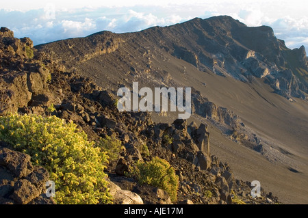 Sunrise (dawn) at the summit of Haleakala volcano, Haleakala Volcano National Park, Maui, Hawaii, U.S.A. with bush in foreground Stock Photo