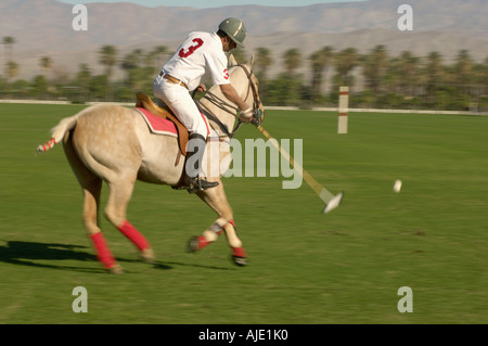 Polo Player leaning down from polo pony, Advancing Ball on polo field during match, side view Stock Photo