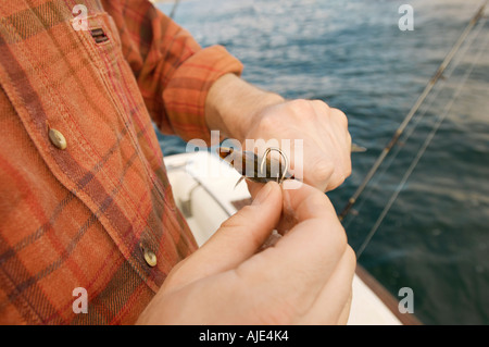 Close Up Shot of Fisherman Baiting Hook Stock Photo - Image of hook, bait:  210188090