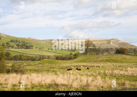NEWBIGGIN NORTH YORKSHIRE England UK October Looking across to this small village in Wensleydale with dry stone walls Stock Photo