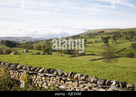 Wensleydale NORTH YORKSHIRE England UK Looking across Wensleydale with its many stone barns and farmhouses Stock Photo