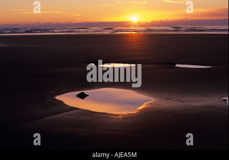 Cape Sebastian State Park Southern Oregon Coast along Highway 101 at sunset low tide and tidal pools Oregon State USA Stock Photo