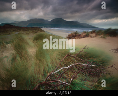 Storm clouds over the Mourne Mountains at the Murlough Nature Reserve County Down Northern Ireland Stock Photo