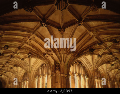 Close up of the fan tracery of the cloister ceiling at Lacock Abbey Wiltshire Stock Photo