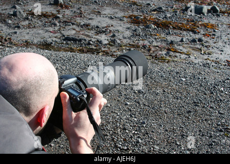 Wildlife photographer lying on the shore shooting seabirds Stock Photo