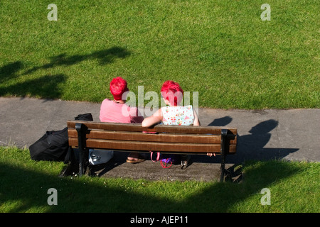 Rear View of Two People with Red Hair Sitting in the Sunshine in Parade Gardens in Bath UK on a Warm Summer Day Stock Photo