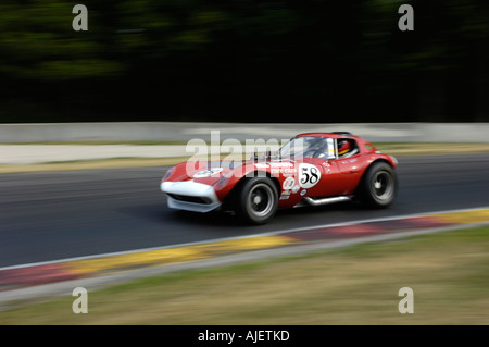 Burt Levy races his 1964 Cheetah at the 2006 Kohler International Challenge with Brian Redman at Road America Stock Photo