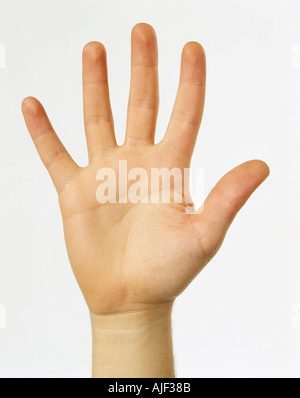 Male hand with an open palm and fingers spread Stock Photo